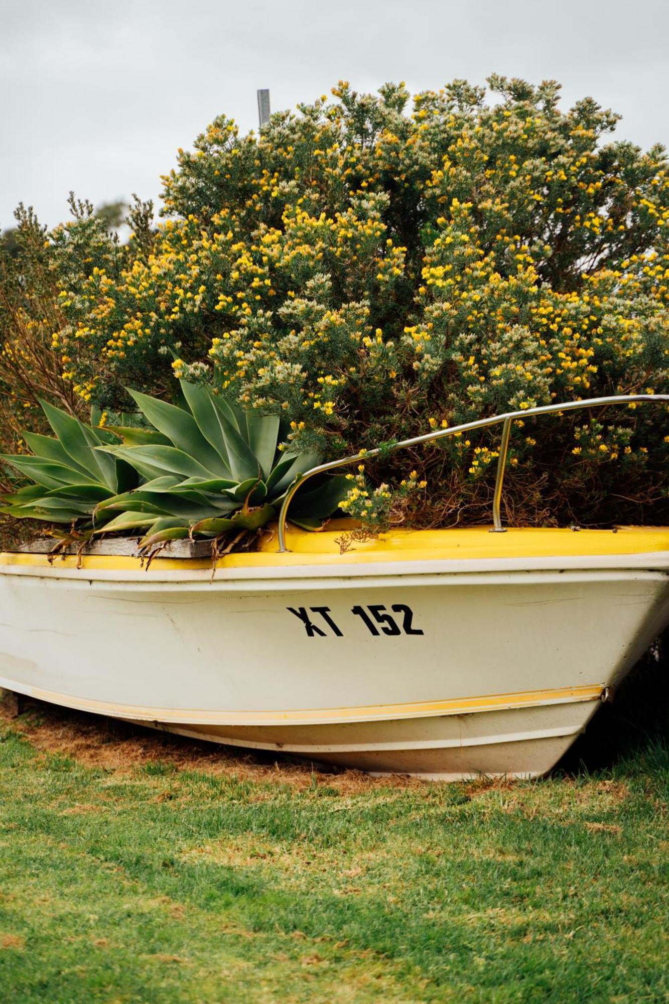 Drysdale Lakeview Hideaway מראה חיצוני תמונה